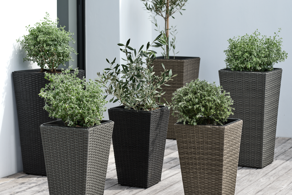 Ulkoruukkuja - Säästä jopa 50% 