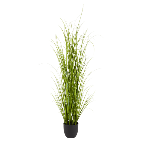 MARKUSFLUE-tekokasvi 12,50€ (ennen 25€)