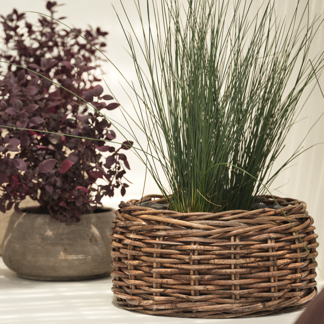 ORRE basket planter