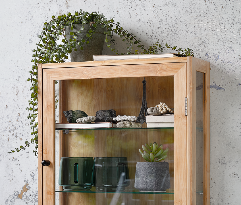 Wall cabinet with faux plants 